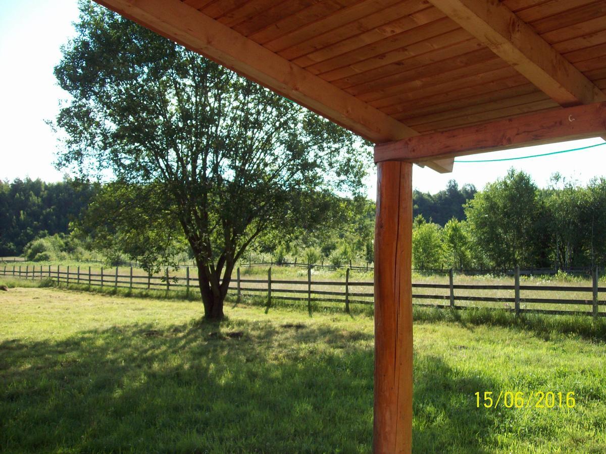 Musketeers Cabin Porumbacu de Sus Exterior foto